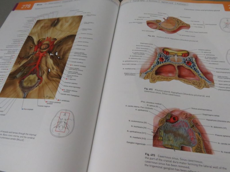 Boek Atlas of Human Anatomy Deel 1 Engels