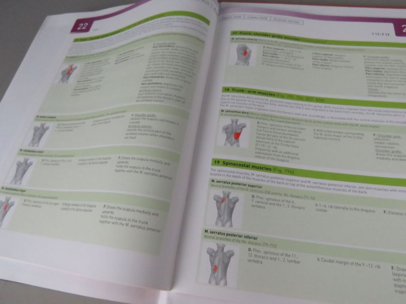 Boek Atlas of Human Anatomy Deel 1 Engels