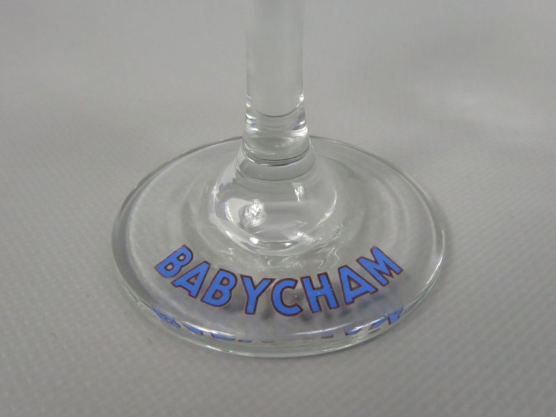 Set champagne glazen Babychamp