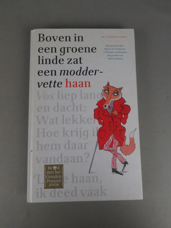 Boek - Boven in een groene linde zat een moddervette haan