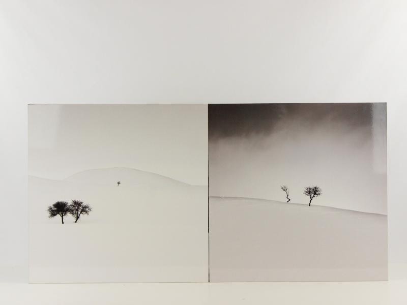 2 Foto's op aluminium: "Degenerate" & "Don't Forget Us" - Ebru Sidar (YellowKorner)