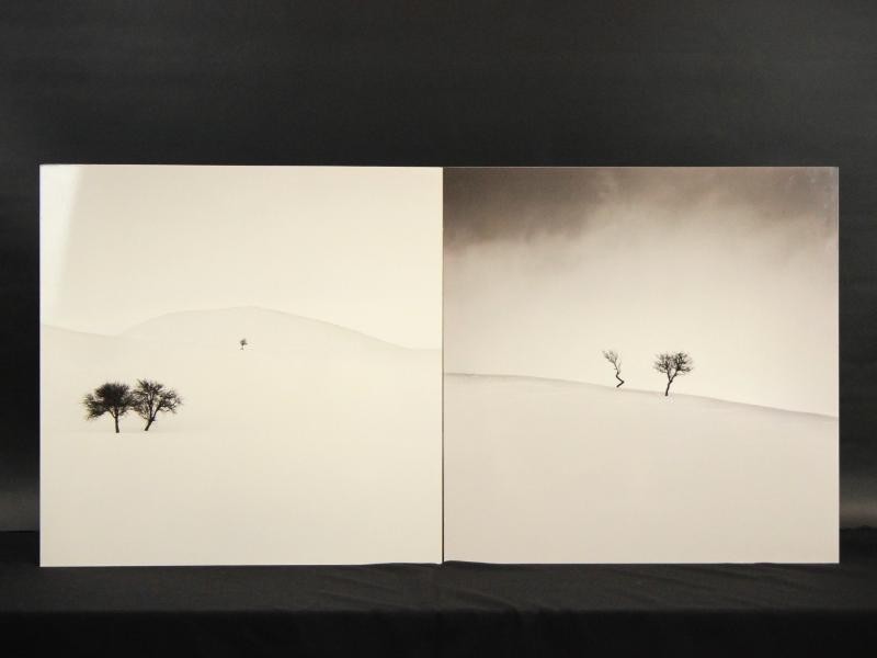 2 Foto's op aluminium: "Degenerate" & "Don't Forget Us" - Ebru Sidar (YellowKorner)