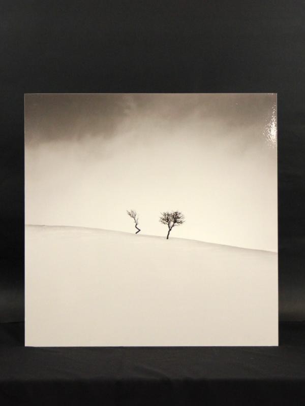 2 Foto's op aluminium: "Degenerate" & "Don't Forget Us" - Ebru Sidar (YellowKorner)