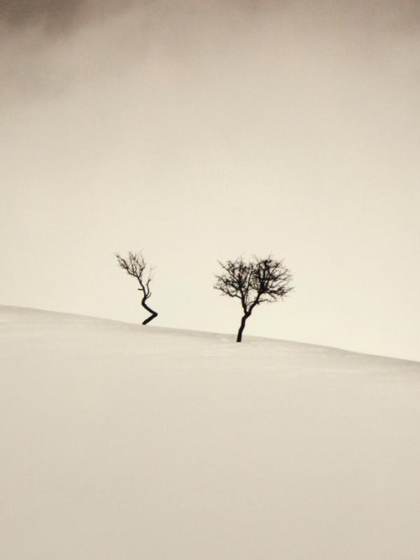 2 Foto's op aluminium: "Degenerate" & "Don't Forget Us" - Ebru Sidar (YellowKorner)