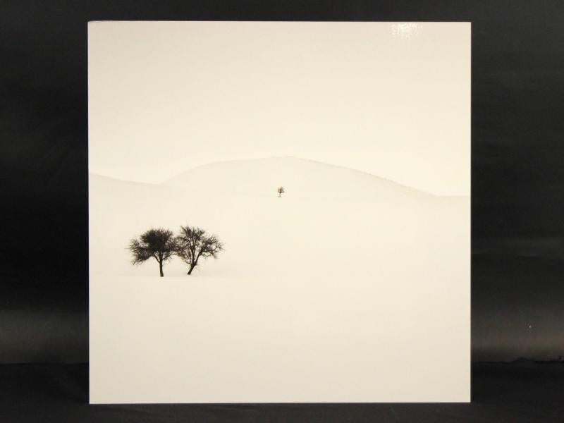 2 Foto's op aluminium: "Degenerate" & "Don't Forget Us" - Ebru Sidar (YellowKorner)