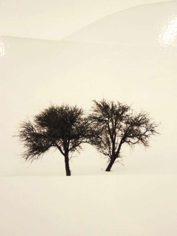 2 Foto's op aluminium: "Degenerate" & "Don't Forget Us" - Ebru Sidar (YellowKorner)