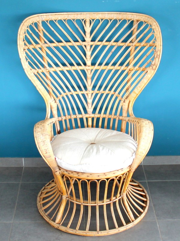 Vintage Peacock Chair