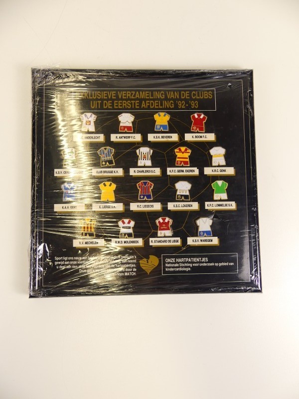 Panini stickeralbums + Pins