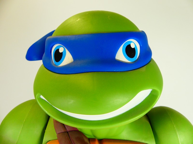 Opkomst van de TMNT Teenage Mutant Ninja Turtles