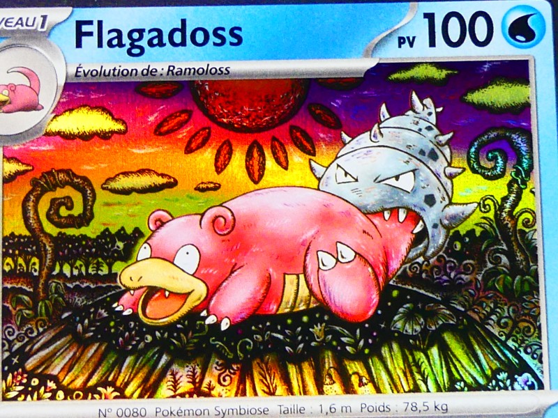 50 holo Pokémon kaarten