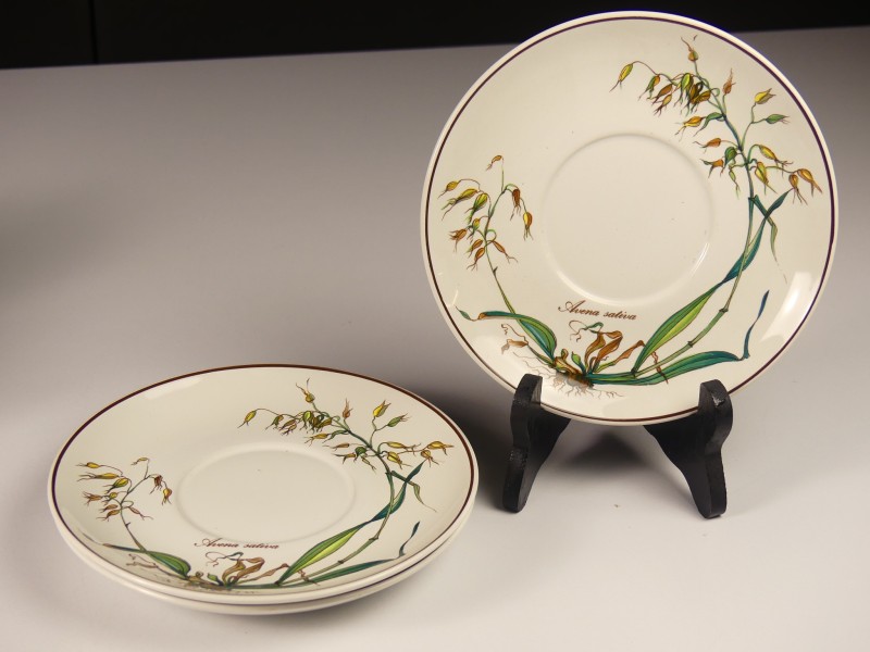 Villeroy & Boch Servies delen BOTANICA