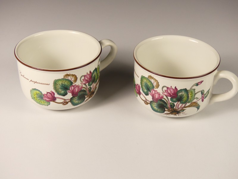 Villeroy & Boch Servies delen BOTANICA