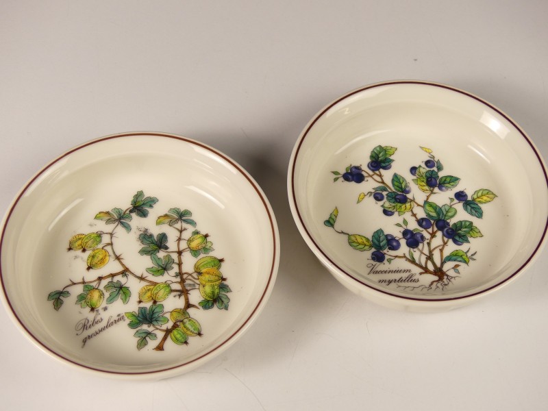 Villeroy & Boch Servies delen BOTANICA