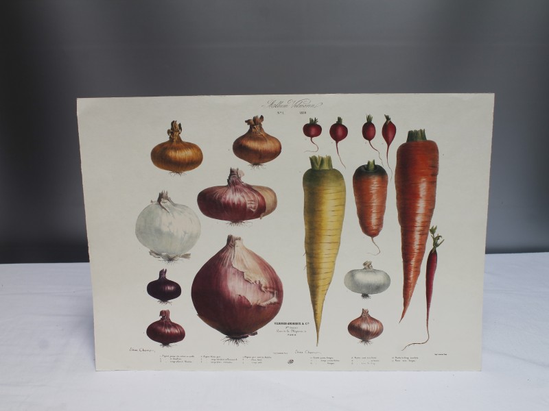 Album Vilmorin "The vegetable garden" van Taschen (Art. 989)