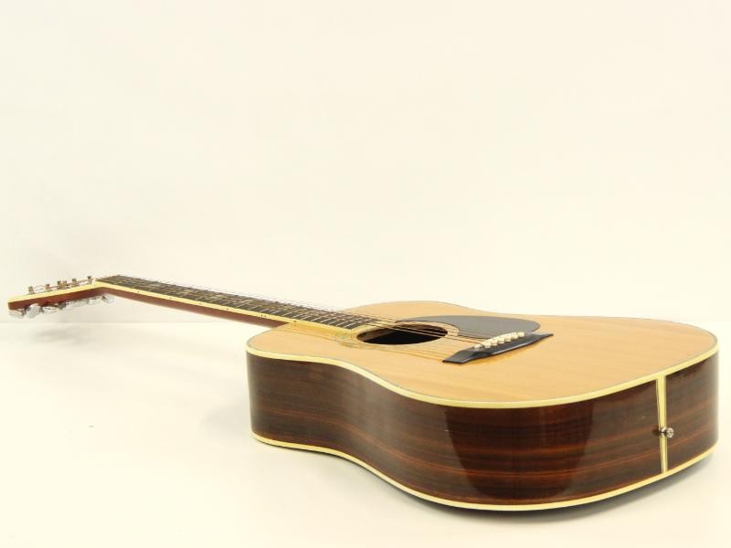 Diana Guitar model SF270 met gitaar draagtas