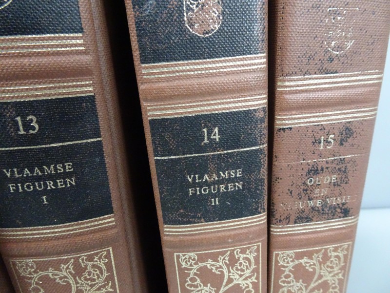 15 delige boekenreeks "Twintig eeuwen Vlaanderen"