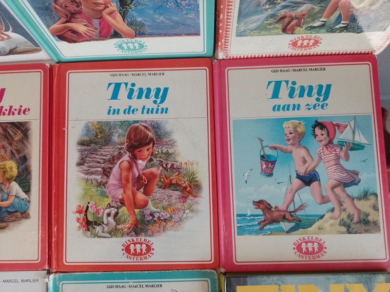 Lot Tinyboeken