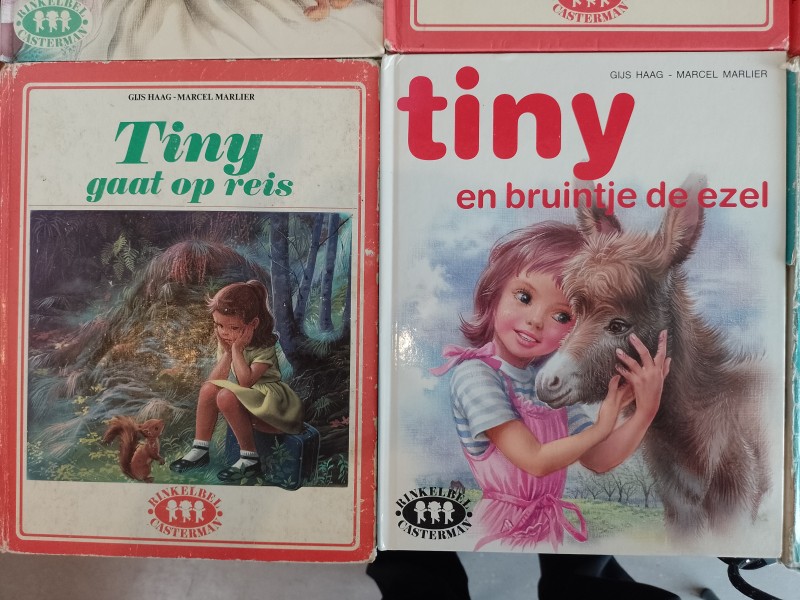 Lot Tinyboeken