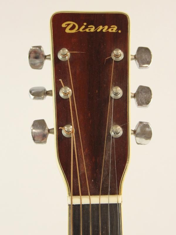 Diana Guitar model SF270 met gitaar draagtas