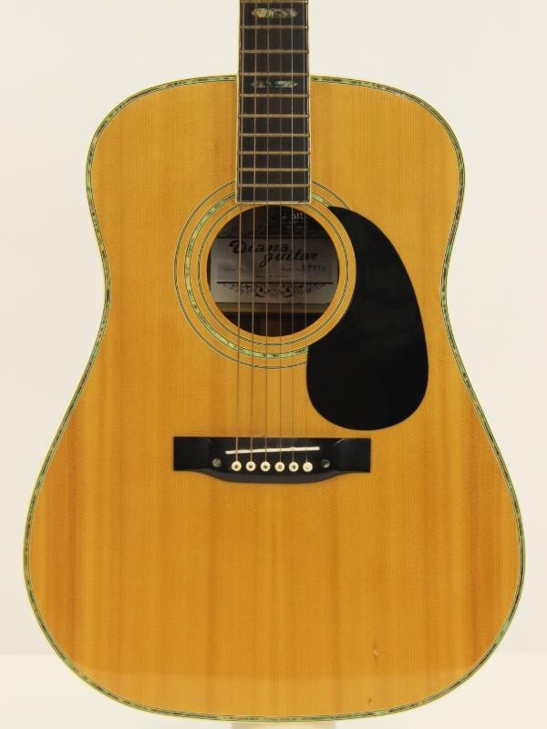 Diana Guitar model SF270 met gitaar draagtas