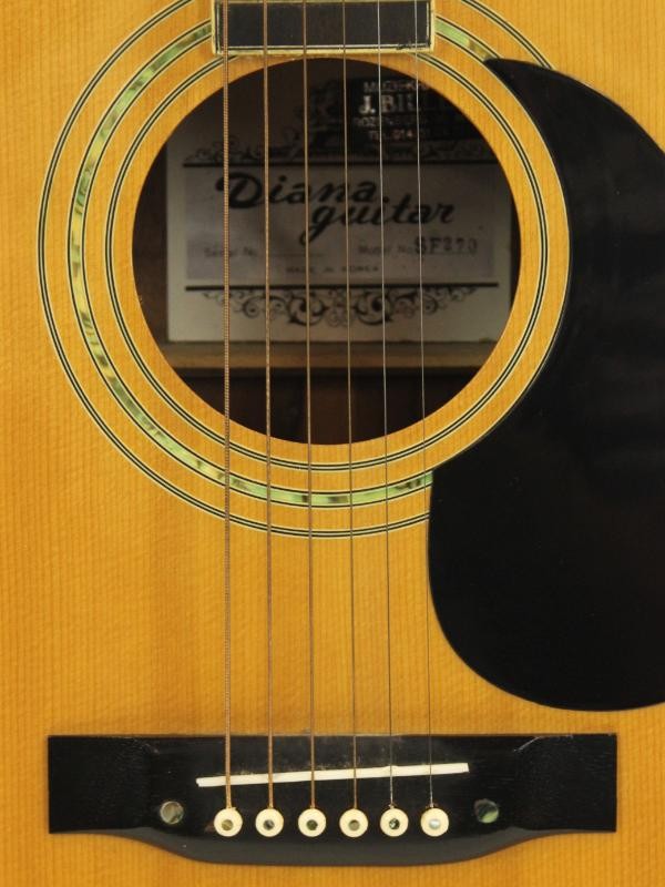 Diana Guitar model SF270 met gitaar draagtas