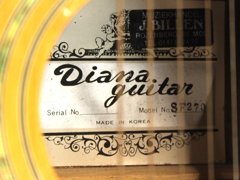 Diana Guitar model SF270 met gitaar draagtas