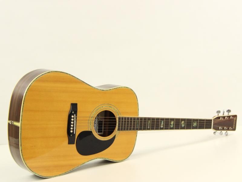 Diana Guitar model SF270 met gitaar draagtas