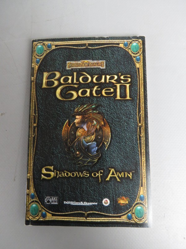 Baldur's gate 2 videospel