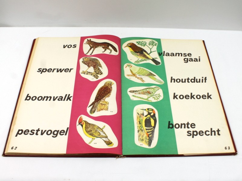 Vintage boek 'Flora & Fauna' - J. Boonstra