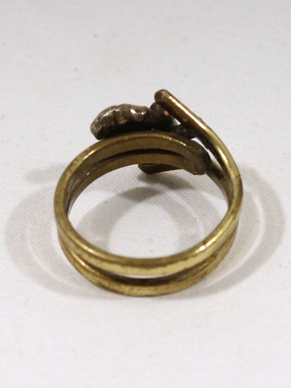 Kunstzinnige Ring