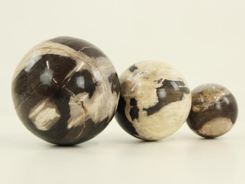 3 Decoratieve ballen uit versteend hout