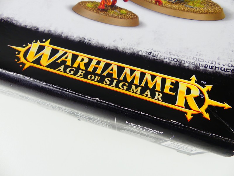 2 dozen van Warhammer Age Of Sigmar - Daemons Of Khorne