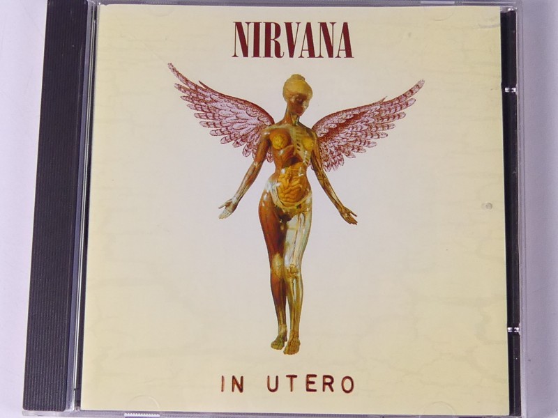 Lot Nirvana CD's en 2 DVD's