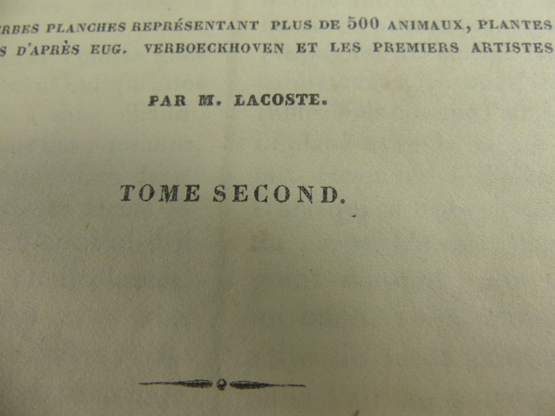 Le Buffon Classique de la Jeunesse/Tome second - Résumé D`Histoire Naturelle 1837 M. Lacoste