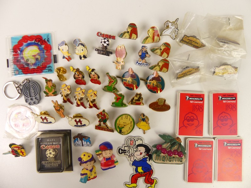 Lot met vintage pins