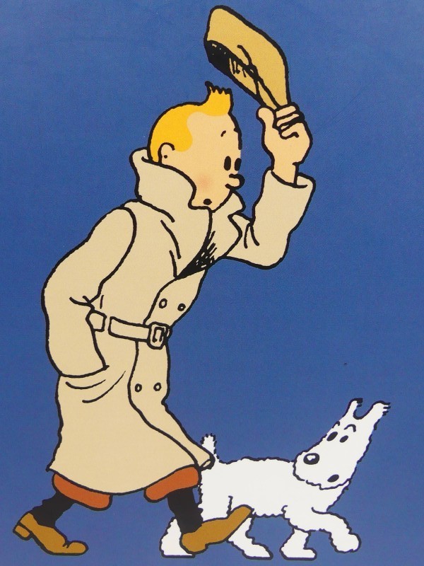 Hergé- Kuifje/Tintin - Verzamelbox 2008