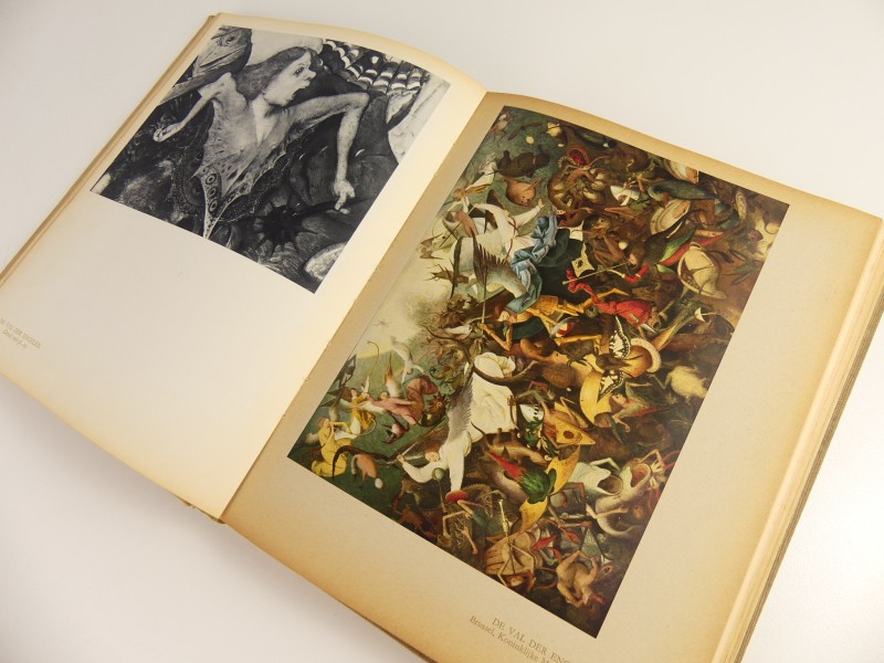 Boek: Bruegel de Oude / Robert Genaille.