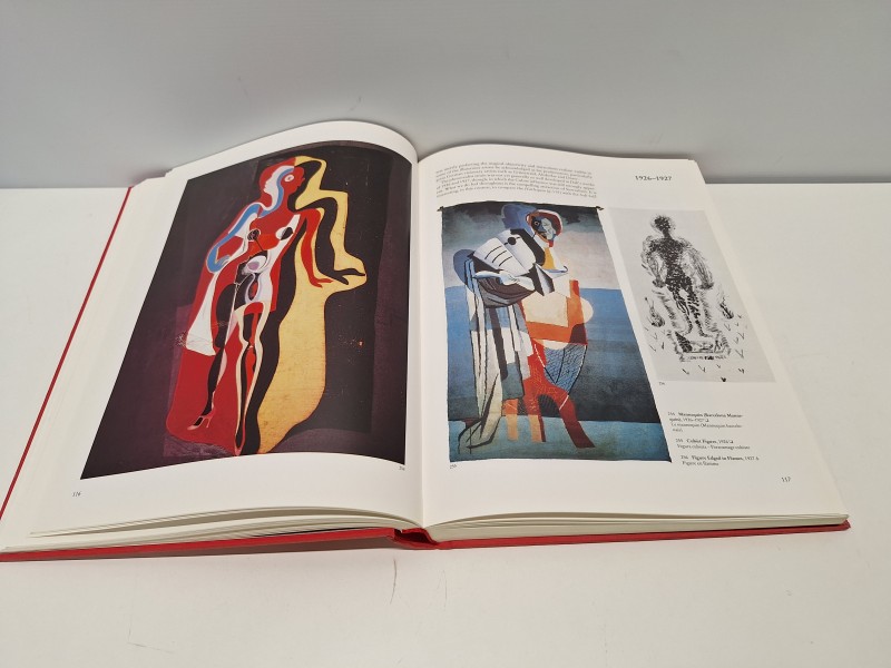 Boek: Dali - The paintings - 2 volumes