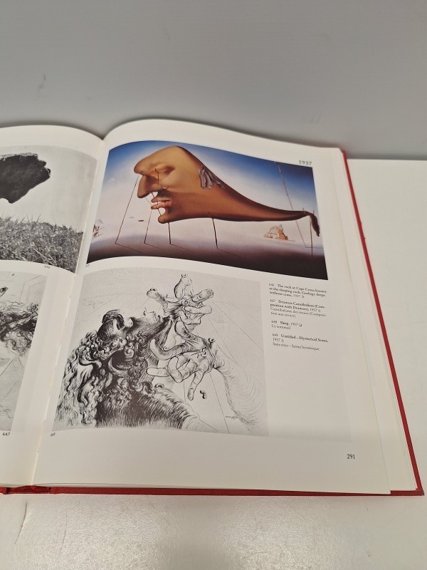 Boek: Dali - The paintings - 2 volumes