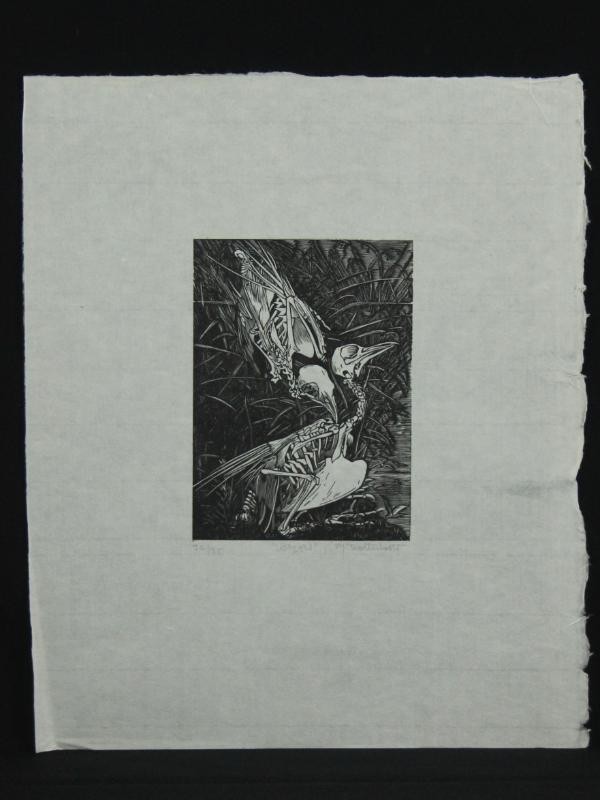 Grafiek ‘Vogels’ – Walter Bott (°1949)