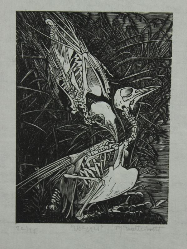 Grafiek ‘Vogels’ – Walter Bott (°1949)