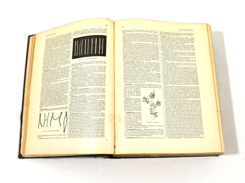 Antiek boek 'Larousse médical illustré'