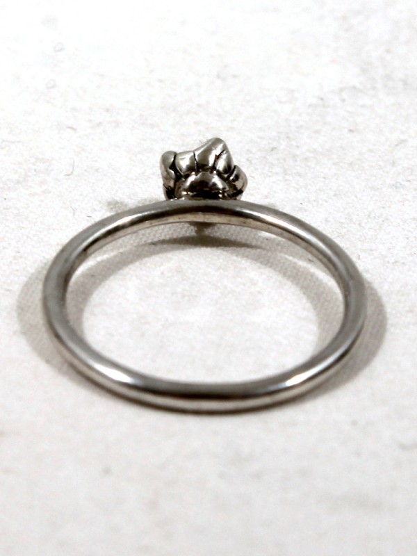 925 Zilveren Ring D