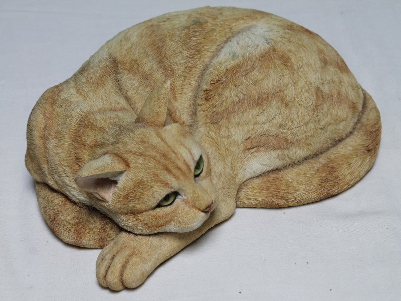 Ginger Tabby curled cat beeld (Art. 1085)