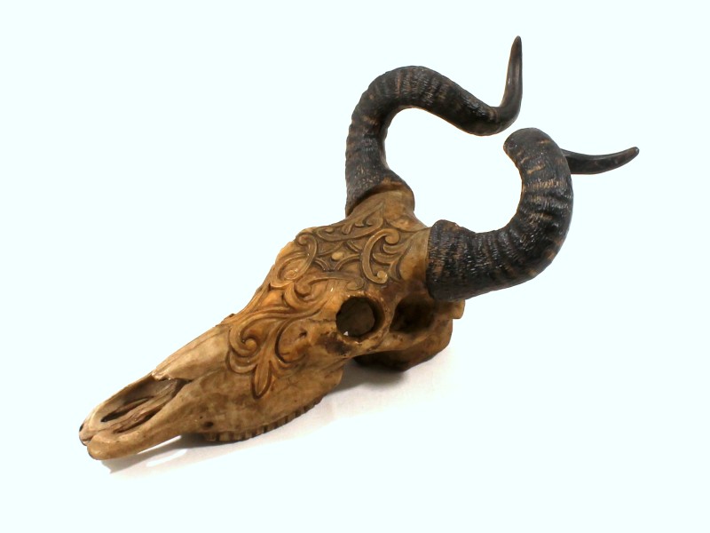 Carved Skull