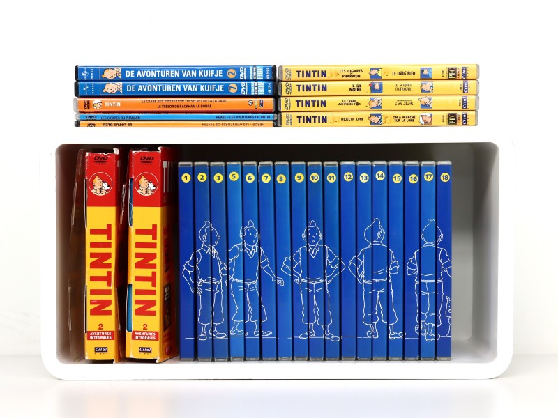 Groot lot van 30 DVD-video's Kuifje - Hergé