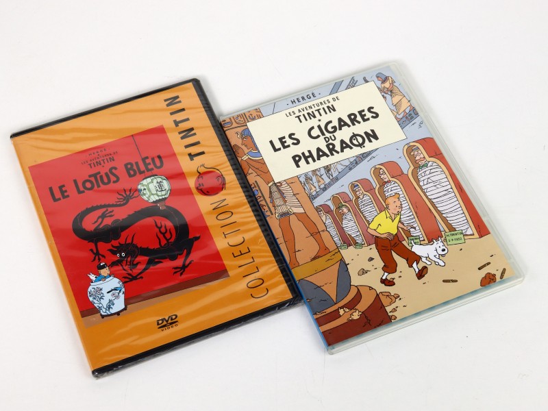 Groot lot van 30 DVD-video's Kuifje - Hergé