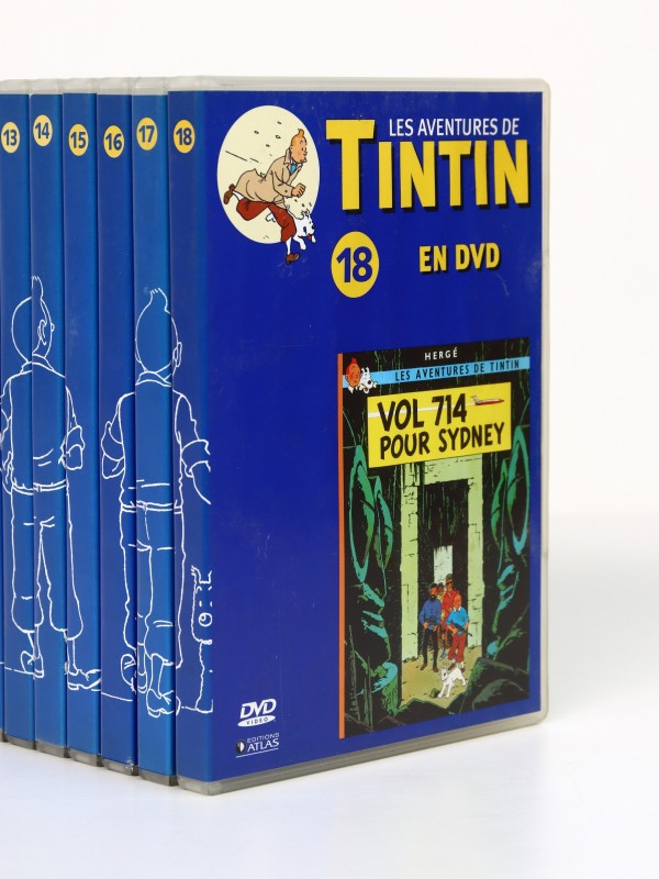 Groot lot van 30 DVD-video's Kuifje - Hergé