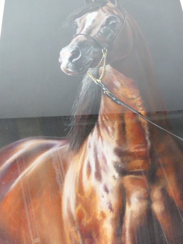 Een Gouache schilderij - Paard