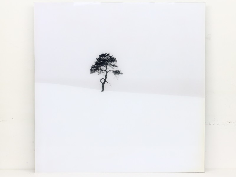 Fotoprint Håkan Strand – “Snow Scene I” - Gelimiteerd 47/500